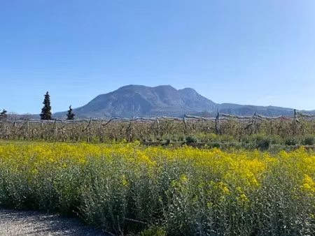 vente terrain 702 m² à ventavon (05300)  84 240 €