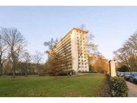 instapklaar appartement met ruim terras in berchem