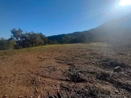 vente terrain à batir 1307 m² à clara-villerach (66500)  79 500 €