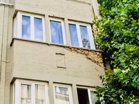 etterbeek - cinquantenaire - sympathique appartement 1 chamb