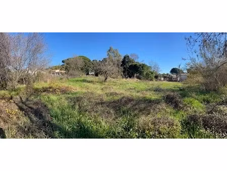 vente terrain 500 m² à cannes (06400)  245 000 €