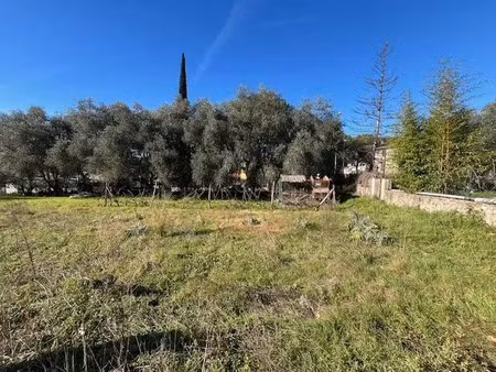 vente terrain 459 m² à grasse (06130)  235 000 €