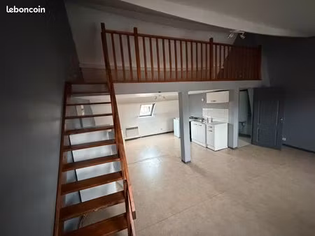 appartement avec mezzanine