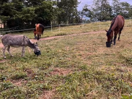 cherche terrain à louer