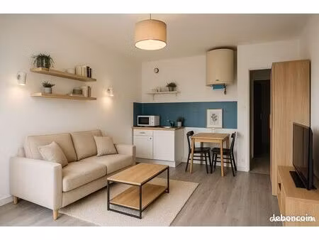 studio 1 pièce 20 m²