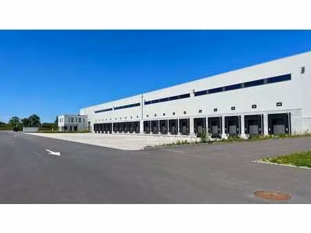 entrepôt logistique à louer dans green logistics à zeebrugg