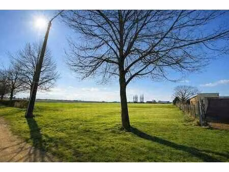 fize-le-marsal (crisnée)  terrain de 1060 m²