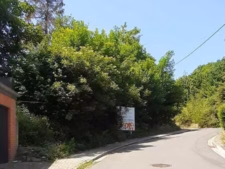 terrain non-constructible à vendre rue nesto michel