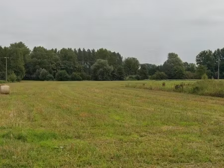 vente terrain 2400 m² à marchiennes (59870)  118 000 €