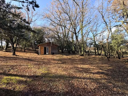 vente terrain à batir 3205 m² à cruviers-lascours (30360)  119 500 €