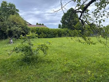 terrain constructible viabilisé à vendre