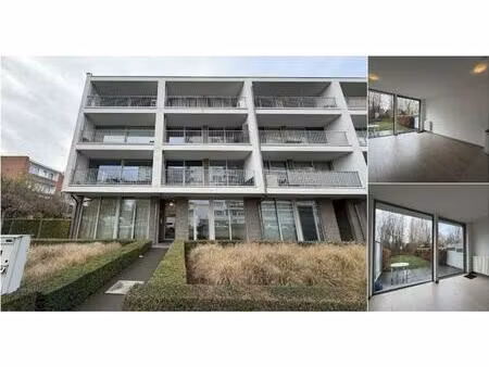 rez-de-chaussée à louer à frieslandstraat 11 hoboken (rbv01905)