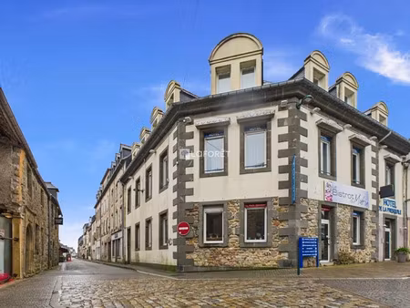 vente locaux professionnels 225 m² à crozon (29160)  669 000 €