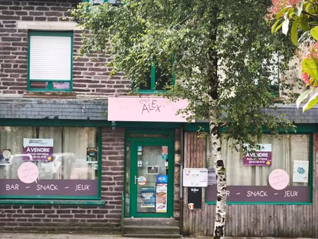 vente locaux professionnels 300 m² à plélan-le-grand (35380)  249 570 €