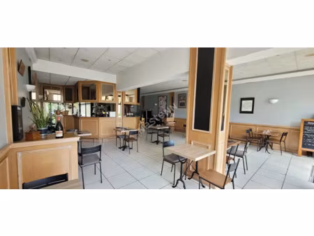 vente locaux professionnels 750 m² à selles-sur-cher (41130)  198 000 €