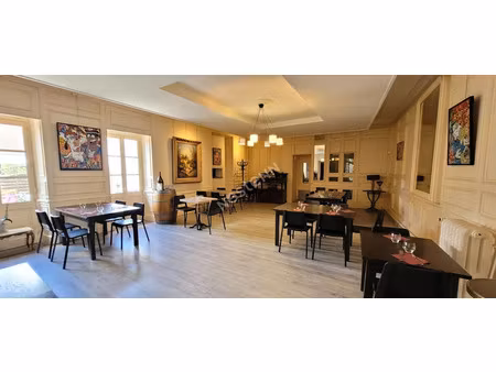 vente locaux professionnels 750 m² à selles-sur-cher (41130)  237 600 €