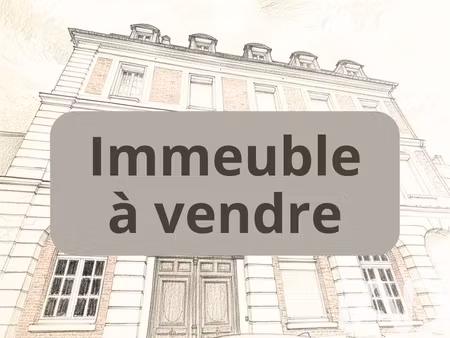 vente immeuble 270 m²