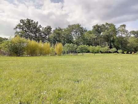 vente terrain 6905 m² à fargues-saint-hilaire (33370)  318 000 €