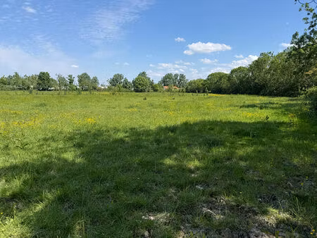 vente terrain  17163.00m²  angles