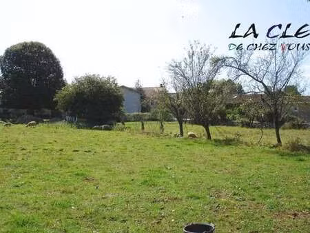 vente terrain à surin (79220) : à vendre / surin