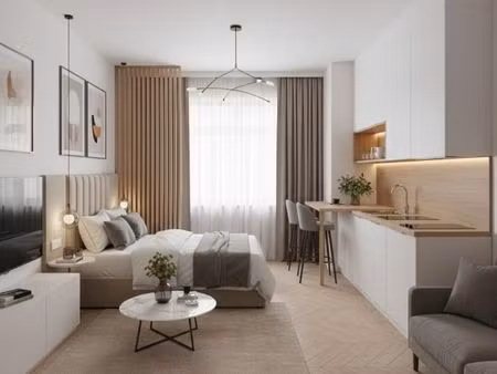 appartement 1 pièce 30 m²