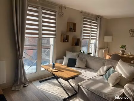 appartement centre ville 49m2