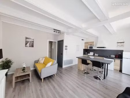 t3 meublé et lumineux en centre ville