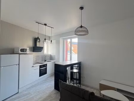 t2 de 35 m2 au calme - quartier st jean - charges incluses - jardin