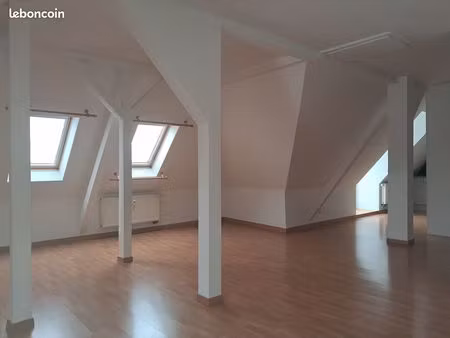 bel appartement de charme - t3 robertsau