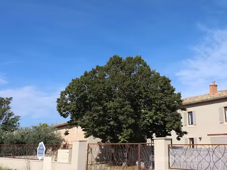 location maison 3 pièces 111.72 m² à joucas (84220)  1 006 €