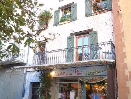 immeuble 2 appartements + murs commerciaux