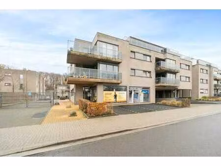 à vendre : commerce à belsele