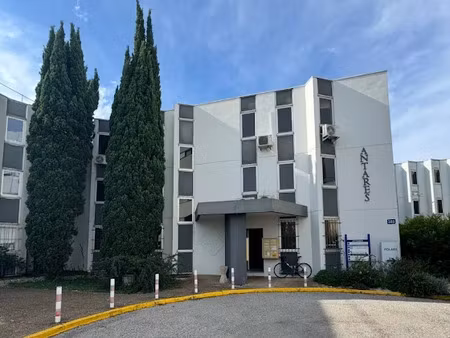 location locaux professionnels 3 pièces 20 m² à avignon (84000)  299 €