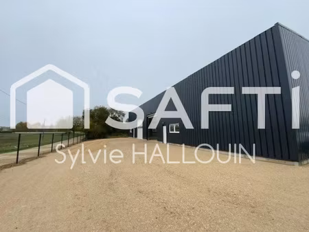 location locaux professionnels 230 m² à chateaudun (28200)  950 €