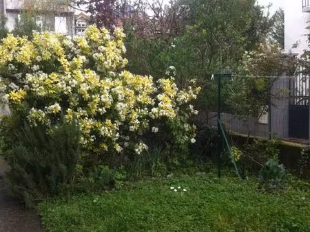 ? t2 38 m² avec jardin privatif – grenoble – loué 800 /mois