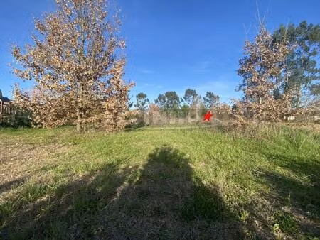 terrain constructible viabilisé à vendre