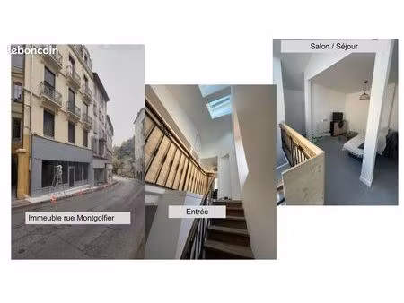 appartement t3 - immeuble rénové