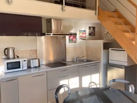 maison meublé à cheverny