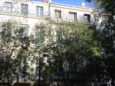 studio 1 pièce 29 m²