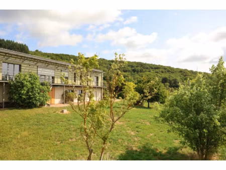 maison à vendre macon 7 pièce(s) 225m2 790 000€