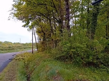 forêts et prairie à vendre