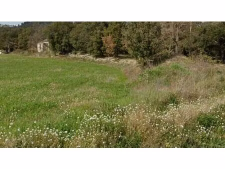terrain constructible viabilisé à vendre