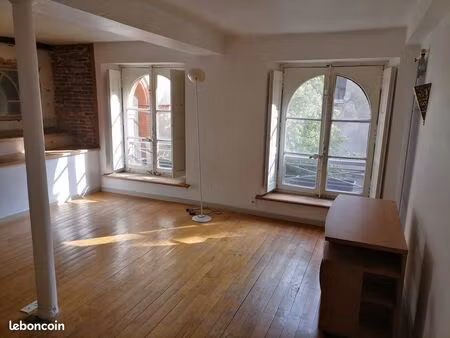 rare toulouse centre t2  jardin royal  50 + 27 m2