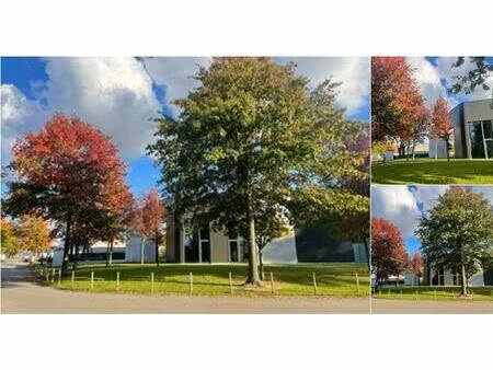 surface industrielle à louer à bedrijfsstraat 7 hasselt (rbv02143)