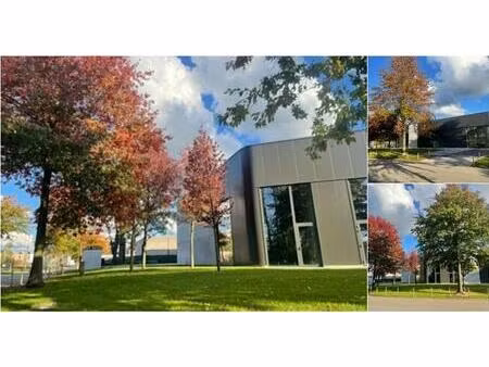 surface industrielle à louer à bedrijfsstraat 7 hasselt (rbv02144)