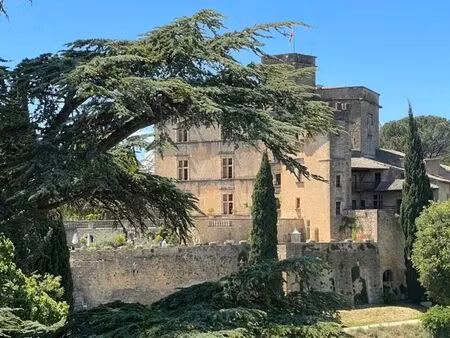 référence : 6209-anc - appartement vue château à lourmarin