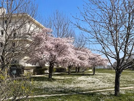 3 pieces carrieres sur seine