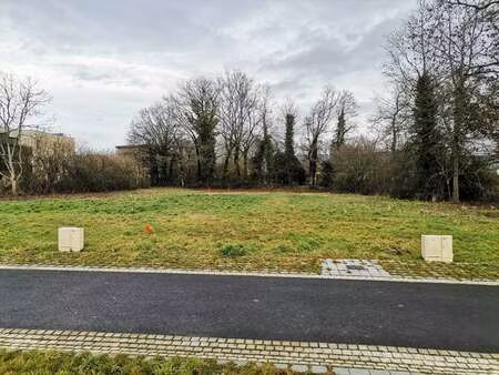 vente terrain à la chapelle-thouarault (35590) : à vendre / 247m² la chapelle-thouarault