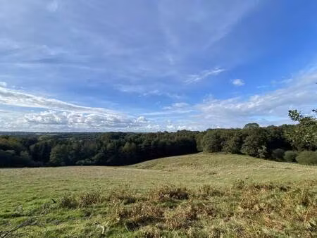 rivard immobilier et relocation