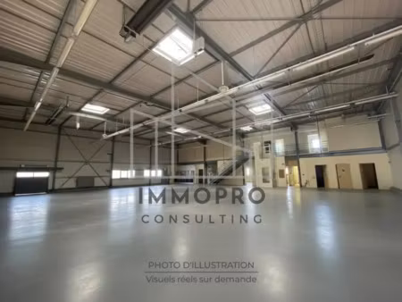 a louer / local d'activites 1140 m2 environ / saint etienne